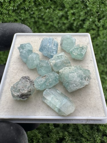 Rare lot aigue - rare,