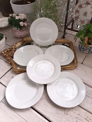 Assiettes plates - 6,