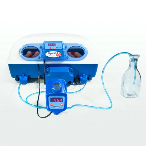 Borotto real plus expert - borotto,