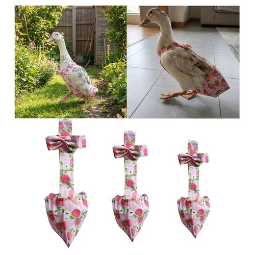 Couches pour canards avec