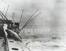 PECHE AUX THONS vers 1950 tirage d'époque Thoniers