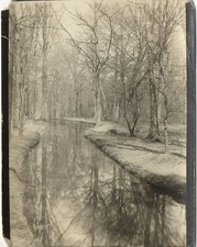 Paysage Sous-bois c1900 Photo Amateur Vintage P3T1n27