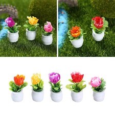 Maison De Poupée, 5 Pièces