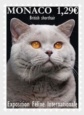 monaco 2024 cats BRITISH SHORTHAIR katzen gatos gatti chat pets 1v mnh