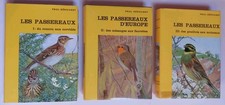 Les Passereaux. Coucou aux
