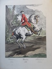 Johann Ridinger (1698-1767) GRANDE GRAVURE REPRODUCTION XX° CHEVAL HIPPISME