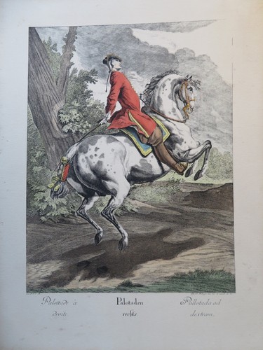 Johann ridinger - ridinger, (1698-1767)