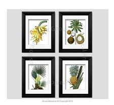 Tropical Mural Décor sans