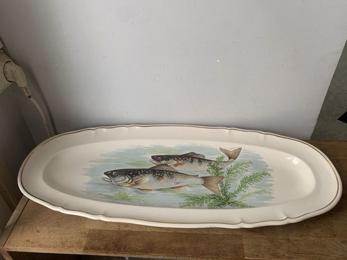 Très grand plat poissons - grand,