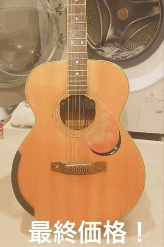 Very rare walden electric - walden,