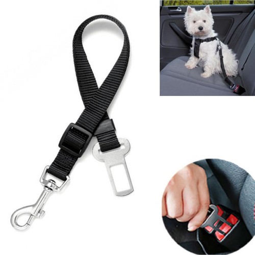 Ceinture sécurité voiture - ceinture,