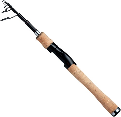 Canne bain daiwa spinning - de,