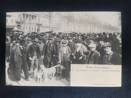 Carte postale toulouse - carte,