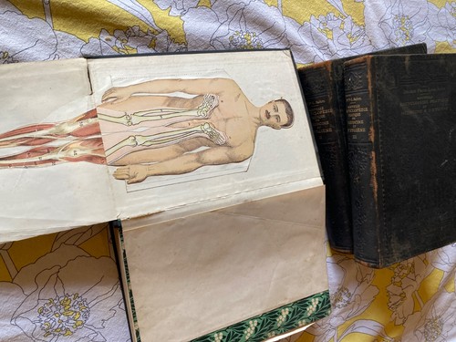 Rehm livre medecine - livre, hygiene
