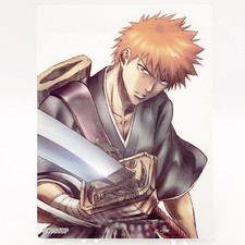 Bleach Ichigo Kurosaki Clear