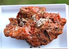 Crocoïte 59 grammes - Dundas mineral field, Zeehan District, Tasmanie Australie