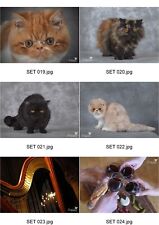 Vend différents sets de table neufs, belle qualité. Photos. Différents thèmes.