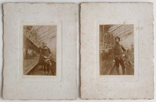 Jeune homme, garçon serre jardin plantes - 2 photos anciennes snapshot sépia