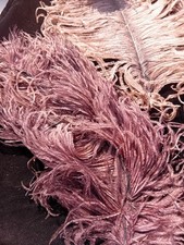 Lot De 4  Plumes D'Autruches