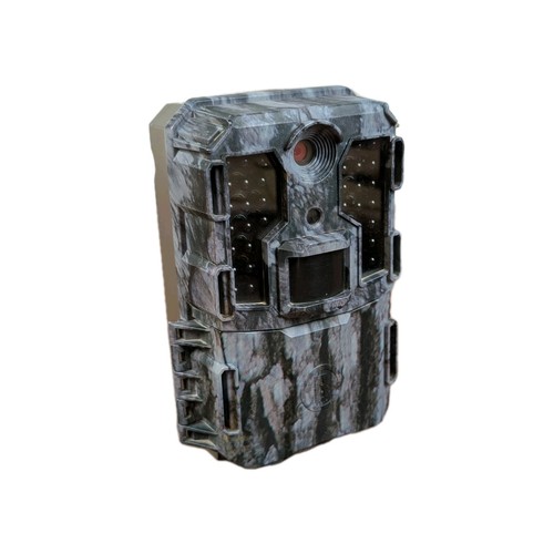 Bushnell prime l20 - prime, tree