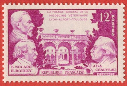 1951 france docteurs - 1951,