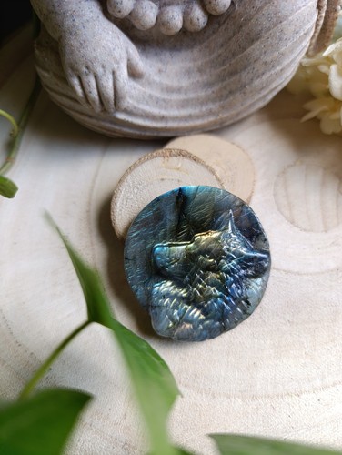 Cabochon tête loup - cabochon,