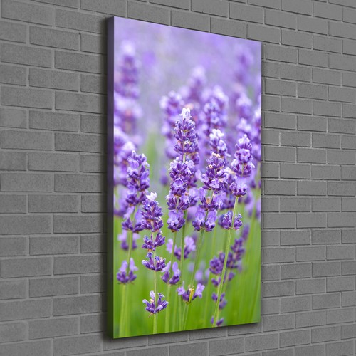 Tulup tableau sur toile - tulup, image