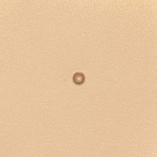 Matoir sur manche TANDY