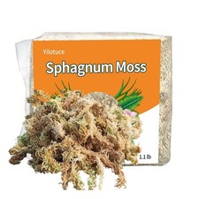 500g Sphaigne pour Plante