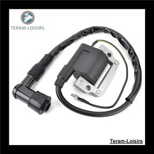 Bobine Allumage pour  Yamaha