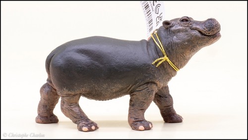 Papo 50052 jeune hippopotame - jeune,