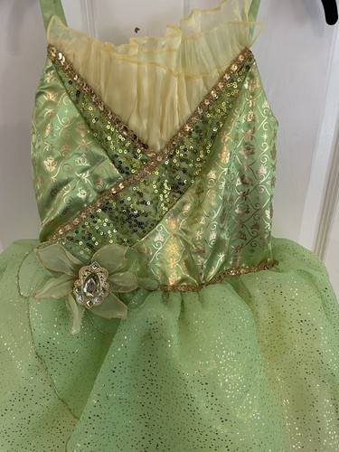 Disney parks tiana - costume, the