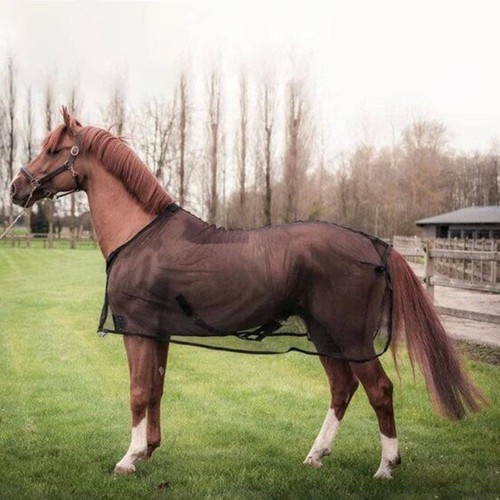 Chemise cheval respirante - chemise,