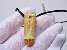 Dent (molaire) de crocodile amazonien - argent 925 - authentique