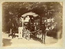 FRANCE Fiacre Carriole Mule Cheval c1888 Photographie Meunier Vintage Albumine