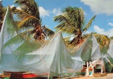 972 MARTINIQUE FILETS DE PECHE