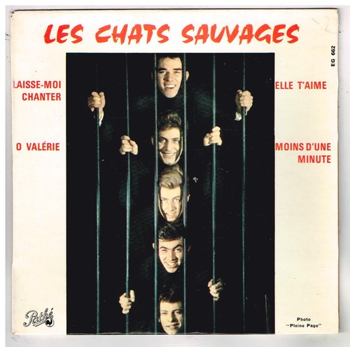 Les chats sauvages - chats,