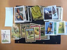 IMAGE/CARTE  SCOLAIRE   LOT  ANIMAUX MARQUE DIVERS  !! PROMO !! LOT N° 44