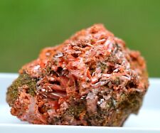 Crocoïte 63 grammes - Dundas mineral field, Zeehan District, Tasmanie Australie