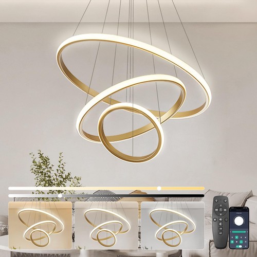 Lustre salon anneaux - lustre,