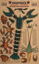 CRUSTACÉS HOMARD ET CRABES PLANCHE DECOUPIS POUR JELP