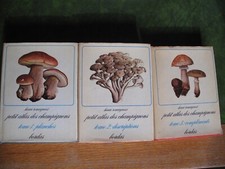 Romagnesi : Petit atlas des champignons 3 volumes Bordas 1963-1969