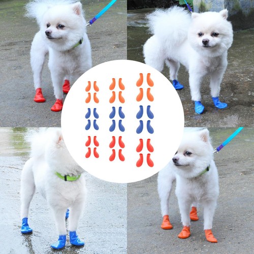 Chiot chaussettes étanche - chiot,