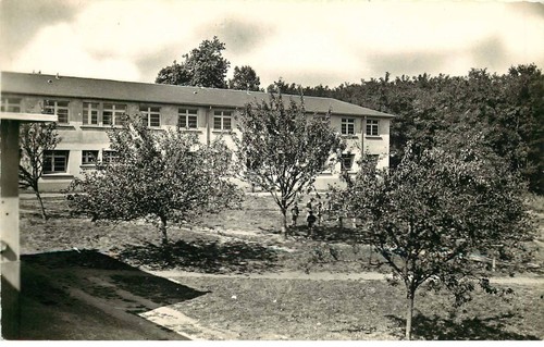 Maine loire tierce - maine, et