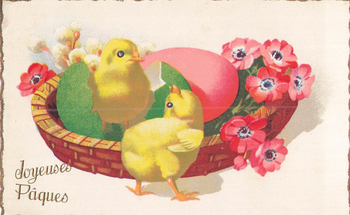 Illustrated easter chicks - cp,