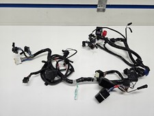 Ceinture principale Triumph