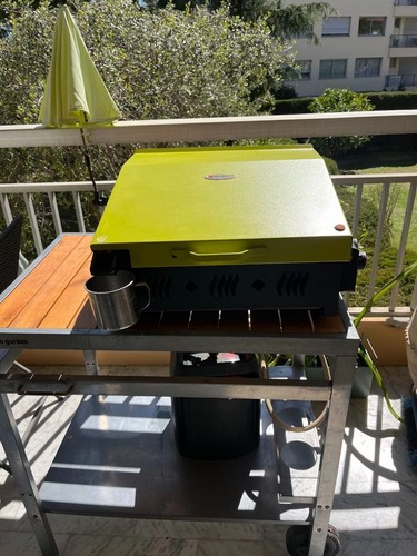 Plancha terrasse gaz fonte