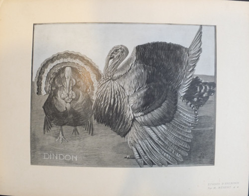 Mathurin meheut 4 planches - meheut, :