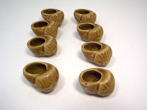 Coquilles escargot de - coquilles,