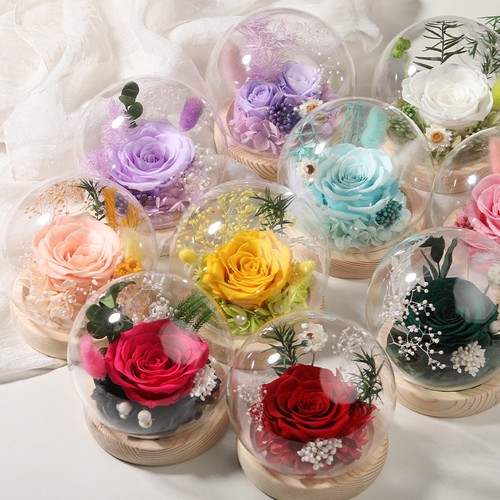 Preserved real rose - preserved, in